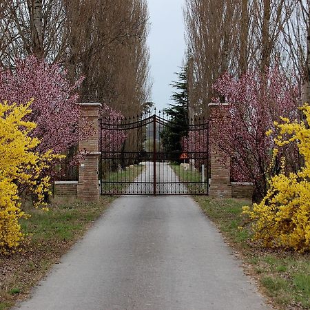 Agriturismo Corte Rocca San Giorgio di Mantova Exteriér fotografie
