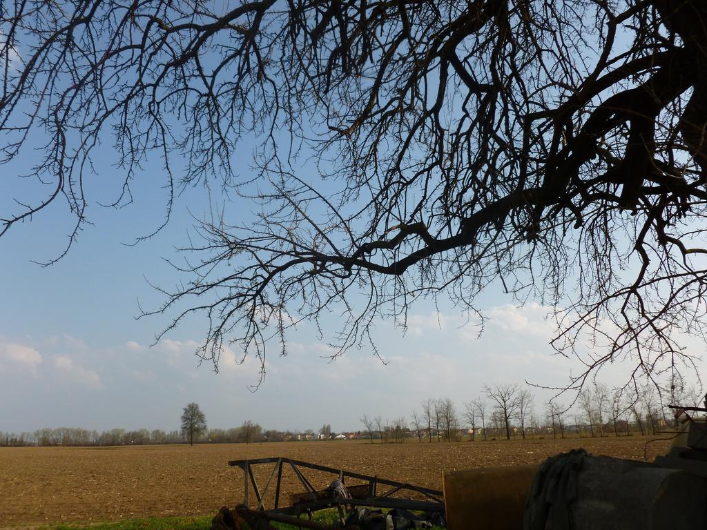 Agriturismo Corte Rocca San Giorgio di Mantova Exteriér fotografie